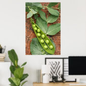 Pea Pod Poster (Heimbüro)