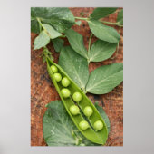Pea Pod Poster (Vorne)