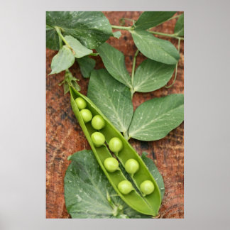 Pea Pod Poster