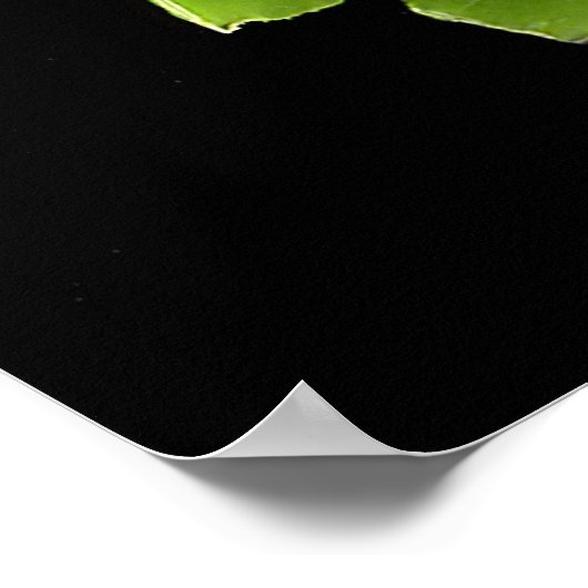 Pea pod poster (Ecke)