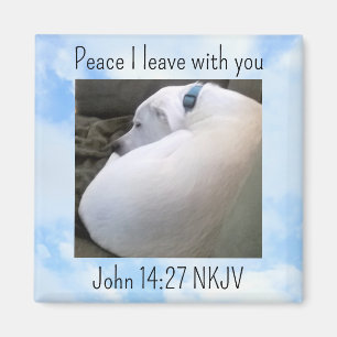 Peace Bible Verse Dog Foto in Light Blue Sky Magnet
