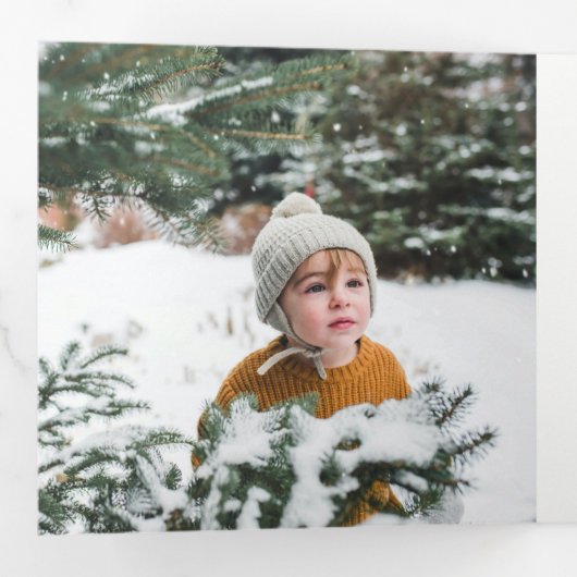 Peace Christmas Poinsettia Navy Black Pine 3 Foto Dreifach Gefaltete Urlaubskarte (Innen Erste Seite)