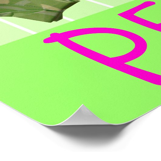 Peace Cranes Poster (Ecke)