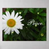 Peace Daisy Print Poster (Vorne)