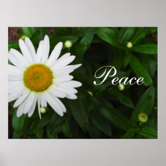 Peace Daisy Print Poster
