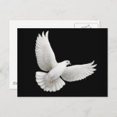 Peace Dove Postcard Postkarte (Vorne/Hinten)