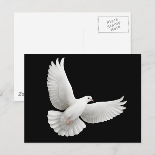 Peace Dove Postcard Postkarte (Vorne/Hinten)