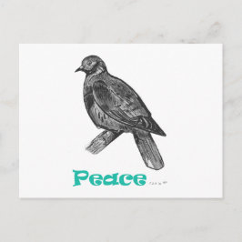 Peace Dove Postcard Postkarte