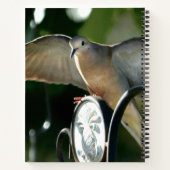 Peace Dove Spread Wings Fotografisch Notizblock (Rückseite)