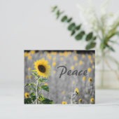 "Peace" Feld der Sonnenblumen, Schwarz & Weiß Postkarte (Stehend Vorderseite)