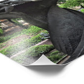 Peace Fountain St. John Divine Church Fotodruck (Ecke)