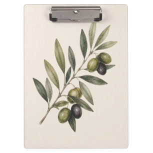 Peace Grows Here   Vintage Olive Branch Botanical  Klemmbrett