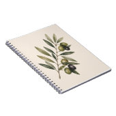 Peace Grows Here | Vintage Olive Branch Botanical Notizblock (Rechte Seite)