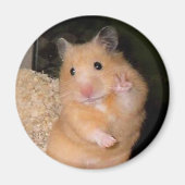 Peace Hamster Meme Magnet (Vorne)