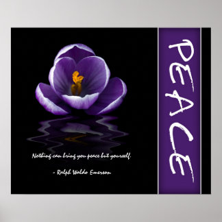Peace Inspiration Poster