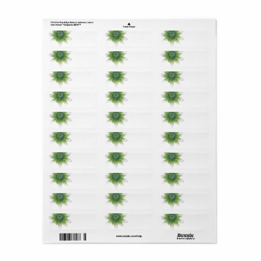 Peace l Beautiful Green Lotus Blank Labels (Vorne)