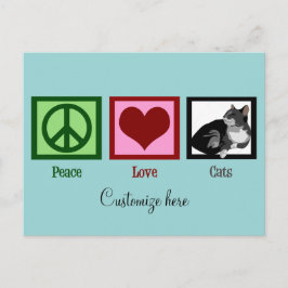 Peace Liebe Cats Niedliche Aquamarine Postkarte