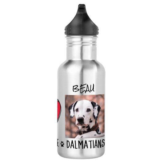 Peace Liebe Dalmatiner Hund liebt Stainless Steel Edelstahlflasche (Rechts)