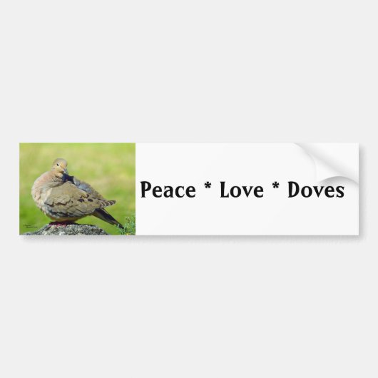 Peace Liebe Doves Birds Autoaufkleber (Vorne)