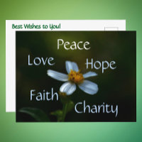 Peace Liebe Hope Faith Wohltätigkeit Daisy Floral