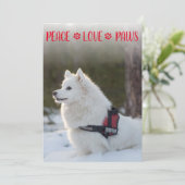 Peace Liebe Paws Foto Red Christmas Flat Card (Stehend Vorderseite)