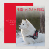 Peace Liebe Paws Foto Red Christmas Flat Card (Vorne/Hinten)