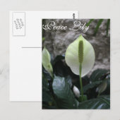 Peace Lily # 4 Postkarte (Vorne/Hinten)