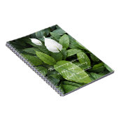 Peace Lily Aristotle Philosophische Weisheit Zitat Notizblock (Rechte Seite)