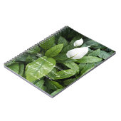 Peace Lily Aristotle Philosophische Weisheit Zitat Notizblock (Linke Seite)