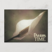 Peace Lily Dream Time Phrase Postkarte (Vorderseite)
