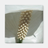 Peace Lily Elegante Magnet (Vorne)