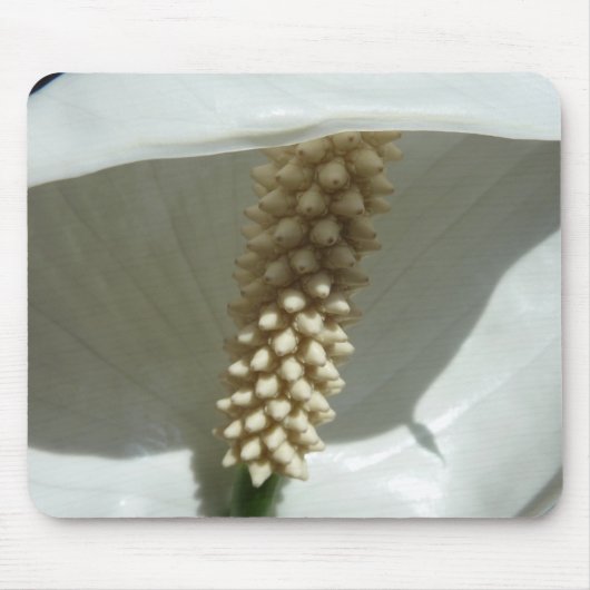 Peace Lily Elegante Mousepad (Vorne)