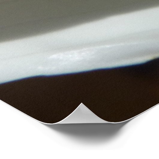 Peace Lily Elegante Poster (Ecke)