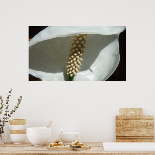 Peace Lily Elegante Poster (Küche)