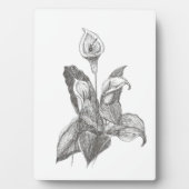 Peace Lily Fine Art Zeichnend Fotoplatte (Vorderseite)