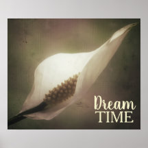 Peace Lily Foto Dream Time Phrase