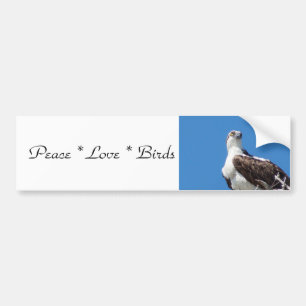 Peace Love Birds Autoaufkleber