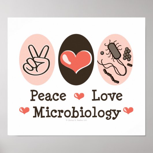 Peace Love Microbiology Poster (Vorne)
