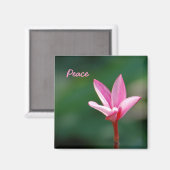 Peace Magnet (Vorderseite/Rückseite)