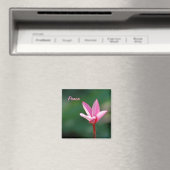 Peace Magnet (In Situ (Geschirrspüler))