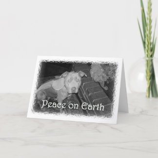 Peace on Earth Pit Bull Christmas Card Feiertagskarte