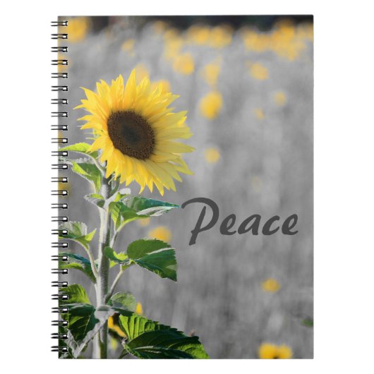 "Peace" Phrase, Feld der Sonnenblumen, Schwarz & W Notizblock (Vorderseite)