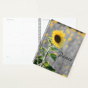 "Peace" Phrase, Feld der Sonnenblumen, Schwarz & W Planer