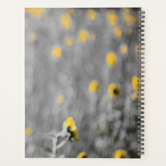 "Peace" Phrase, Feld der Sonnenblumen, Schwarz & W Planer (Rückseite)