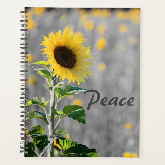 "Peace" Phrase, Feld der Sonnenblumen, Schwarz & W Planer (Vorderseite)