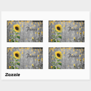 "Peace" Phrase, Feld der Sonnenblumen, Schwarz & W Rechteckiger Aufkleber