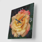 Peace Rose Beautiful Pink and Yellow Floral Quadratische Wanduhr (Winkel)