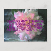 Peace Rose Postcard Postkarte (Vorderseite)