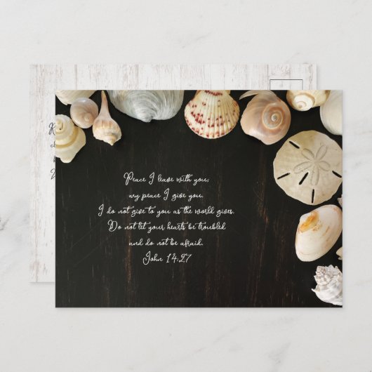 Peace Scripture Comfort Seashells Wood Postkarte (Vorne/Hinten)