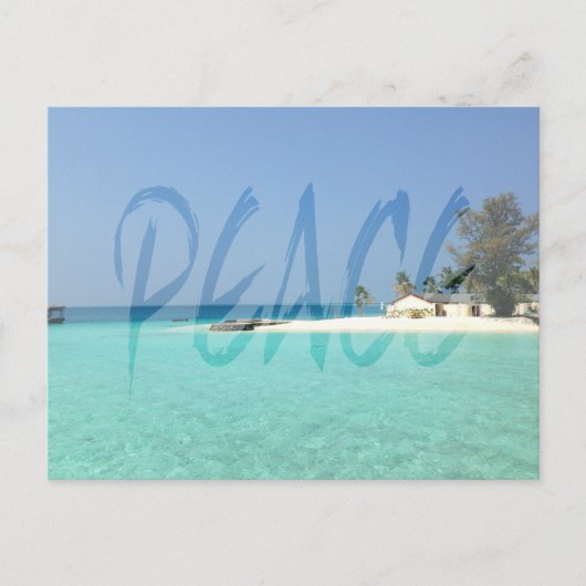 Peace Transparency White Graffiti Postcard Postkarte (Vorderseite)